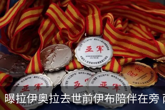 曝拉伊奥拉去世前伊布陪伴在旁 两人合作多年